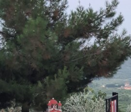 Φωτογραφίες 20250709 211647